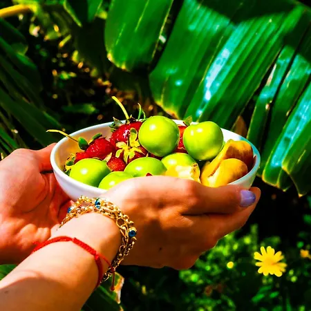 Hotel Pom Alacati Boutique Çeşme