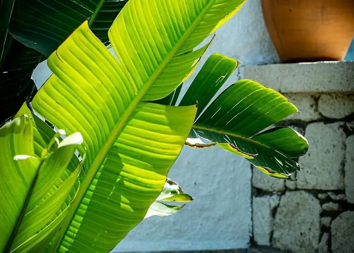 Pom Alacati Boutique *