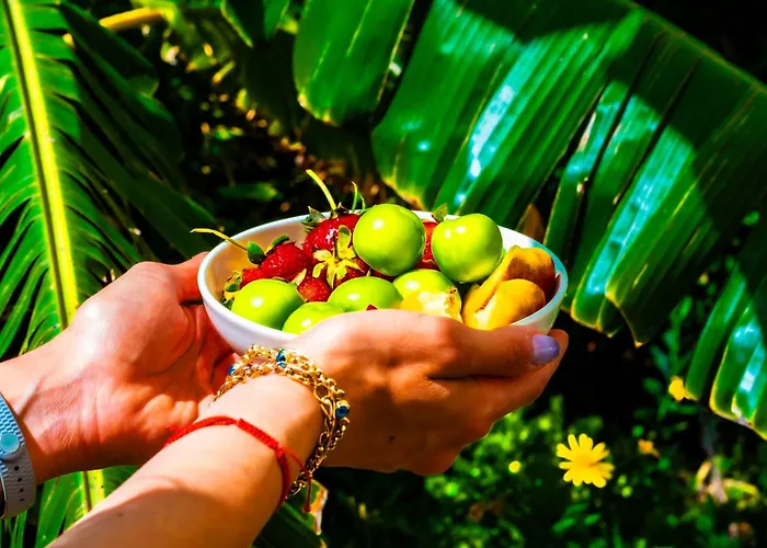 酒店 Pom Alacati Boutique Çeşme